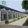 venlo type pc(polycarbonate) sheet greenhouse