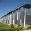 tomatoes used polycarbonate greenhouse